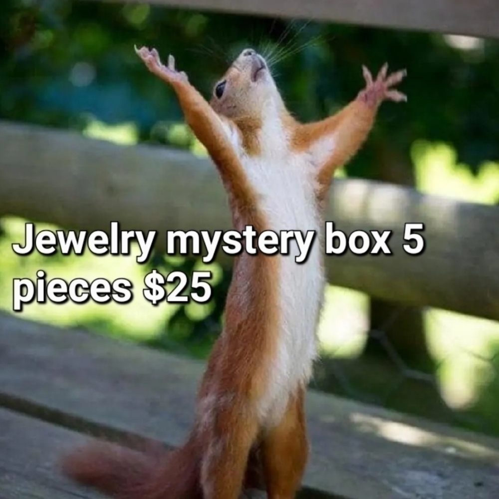 JEWLERY mystery box